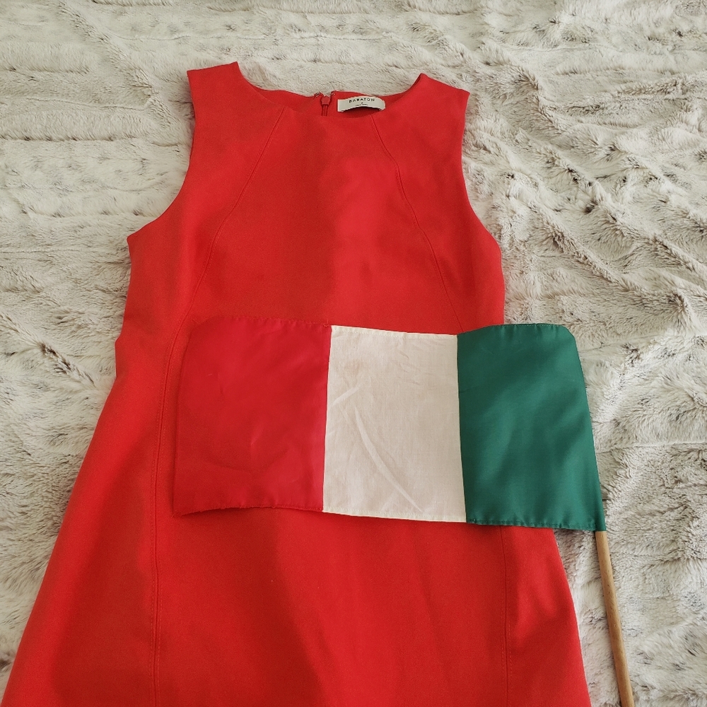 BABATON ARITZIA "MIGUEL" RED ORANGE SLEEVELESS DRESS  SIZE 4 - Picture 8 of 15